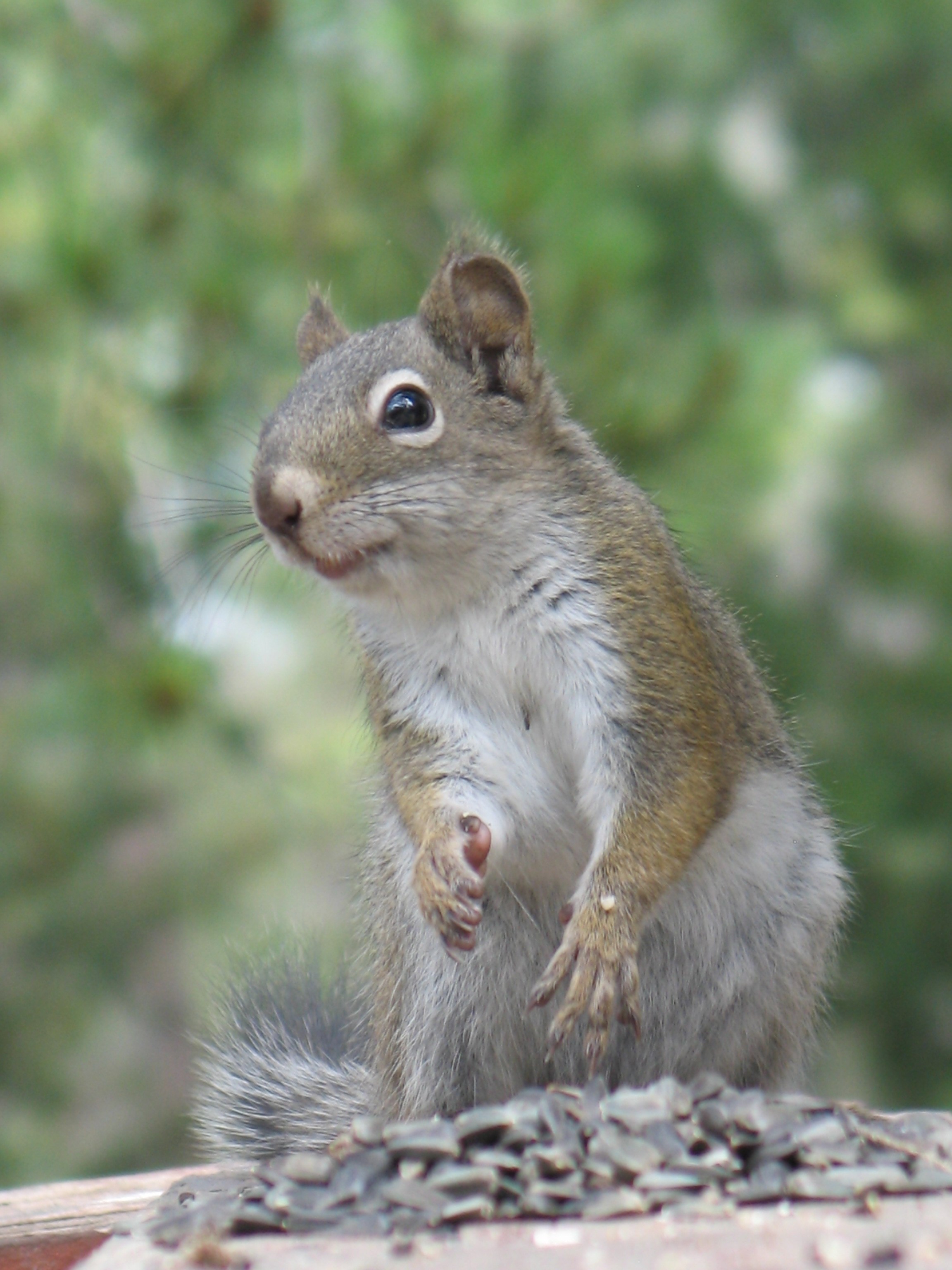 close up of me
